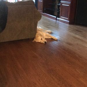 Meet your Posher, Maria